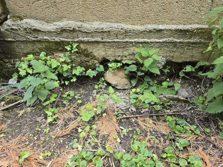 Diagnostic structure des fondations d’un garage à Avernes (95)